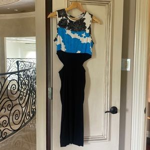 Tanya Taylor dress